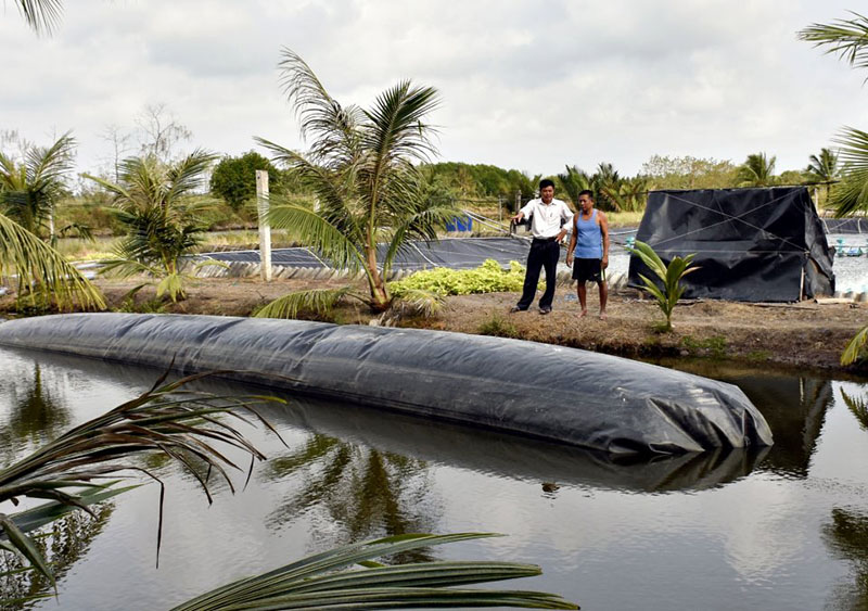 Xây dựng hầm biogas xử lý chất thải tôm