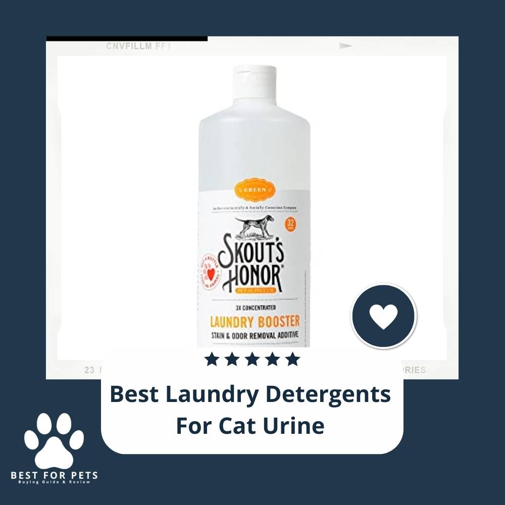 10 Best Laundry Detergents For Cat Urine in 2022