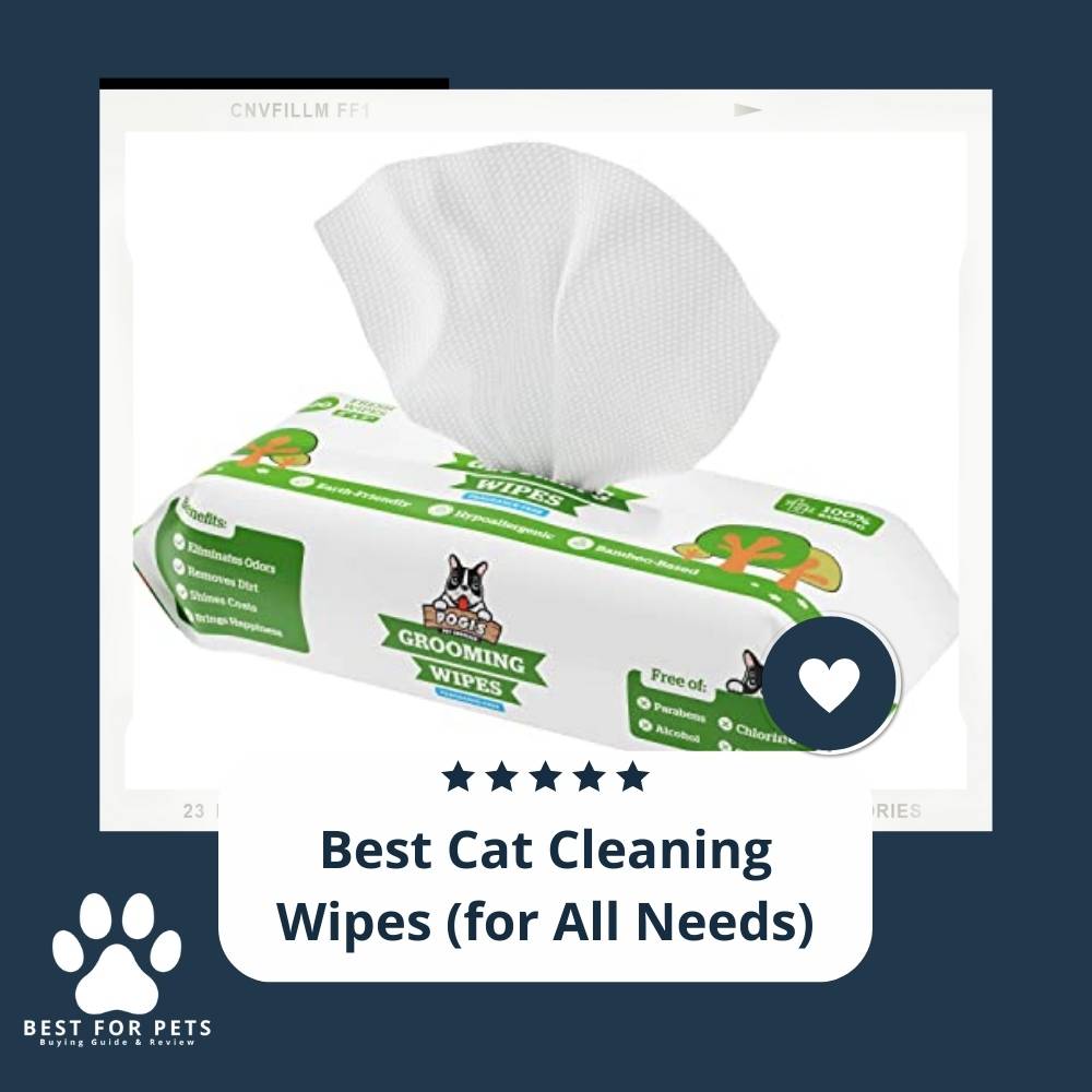 The 14 Best Cat Cleaning Wipes (for All Needs) of 2023