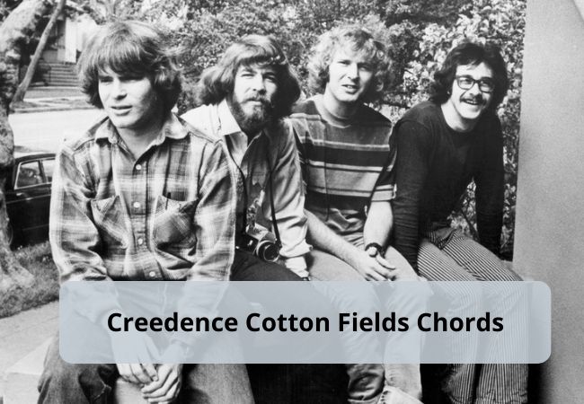 Creedence Cotton Fields Chords - Creedence Clearwater Revival Creedence Cotton Fields Chords - Creedence Clearwater Revival