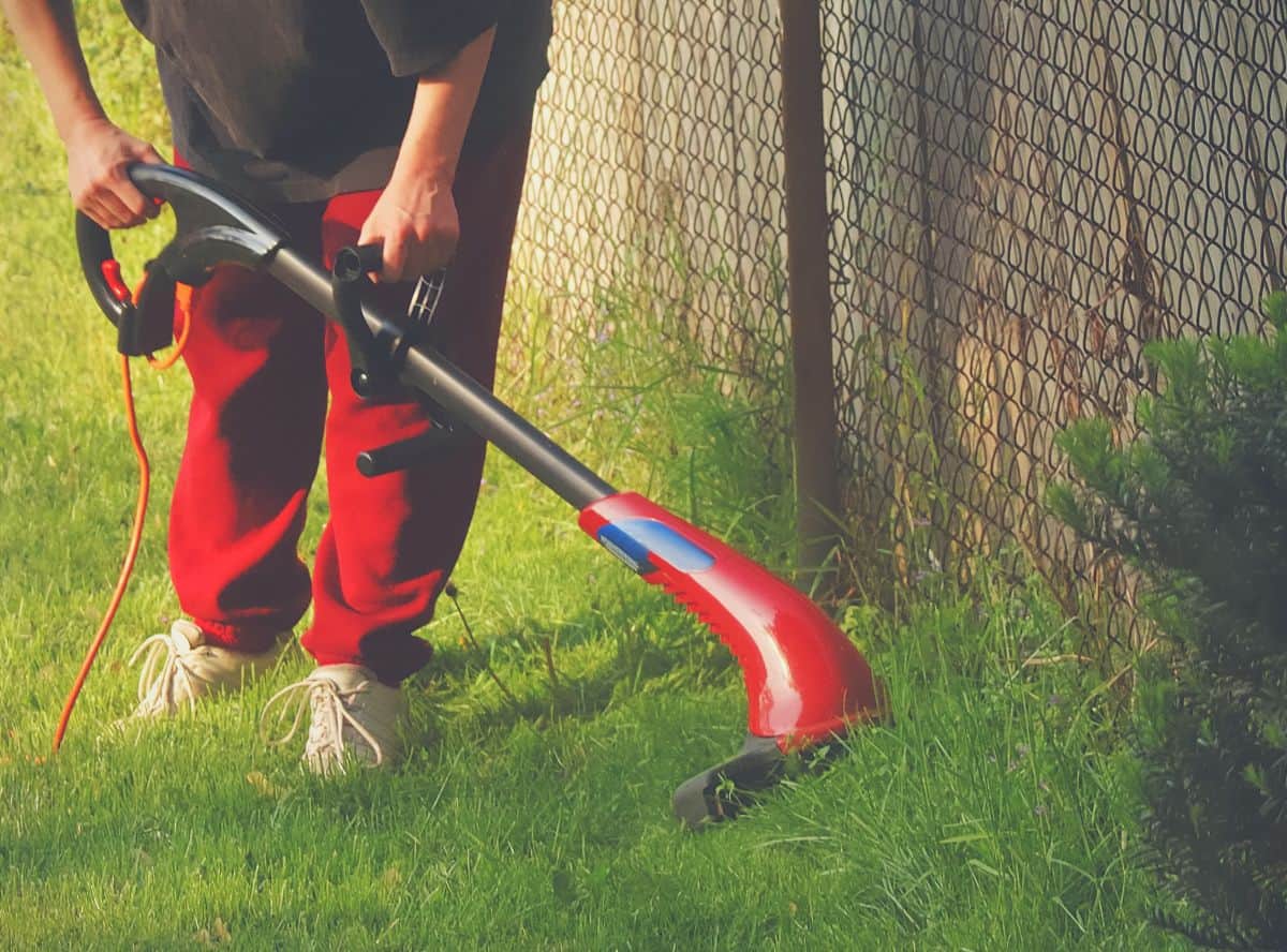 Best Corded Weed Wacker of 2022 Best Corded Weed Wacker of 2022