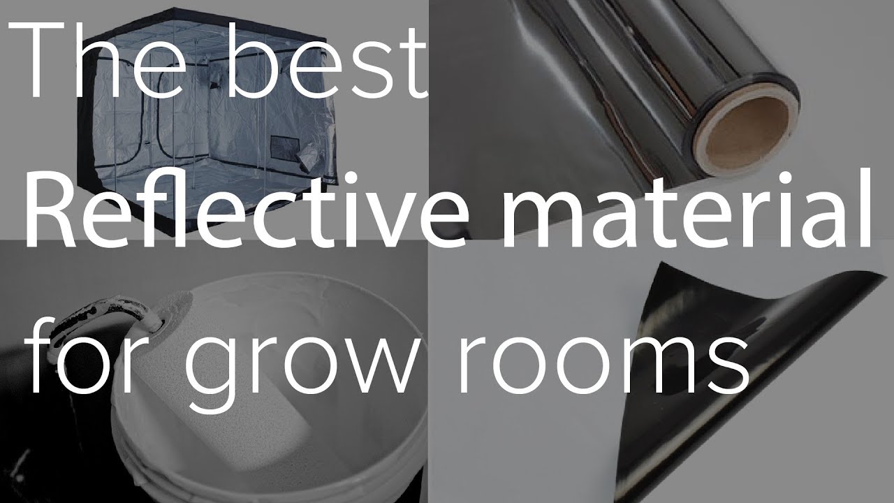 Best Reflective Material For Grow Rooms of 2022 Best Reflective Material For Grow Rooms of 2022