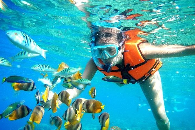 Best Snorkeling Cancun Of 2023 Best Snorkeling Cancun Of 2023