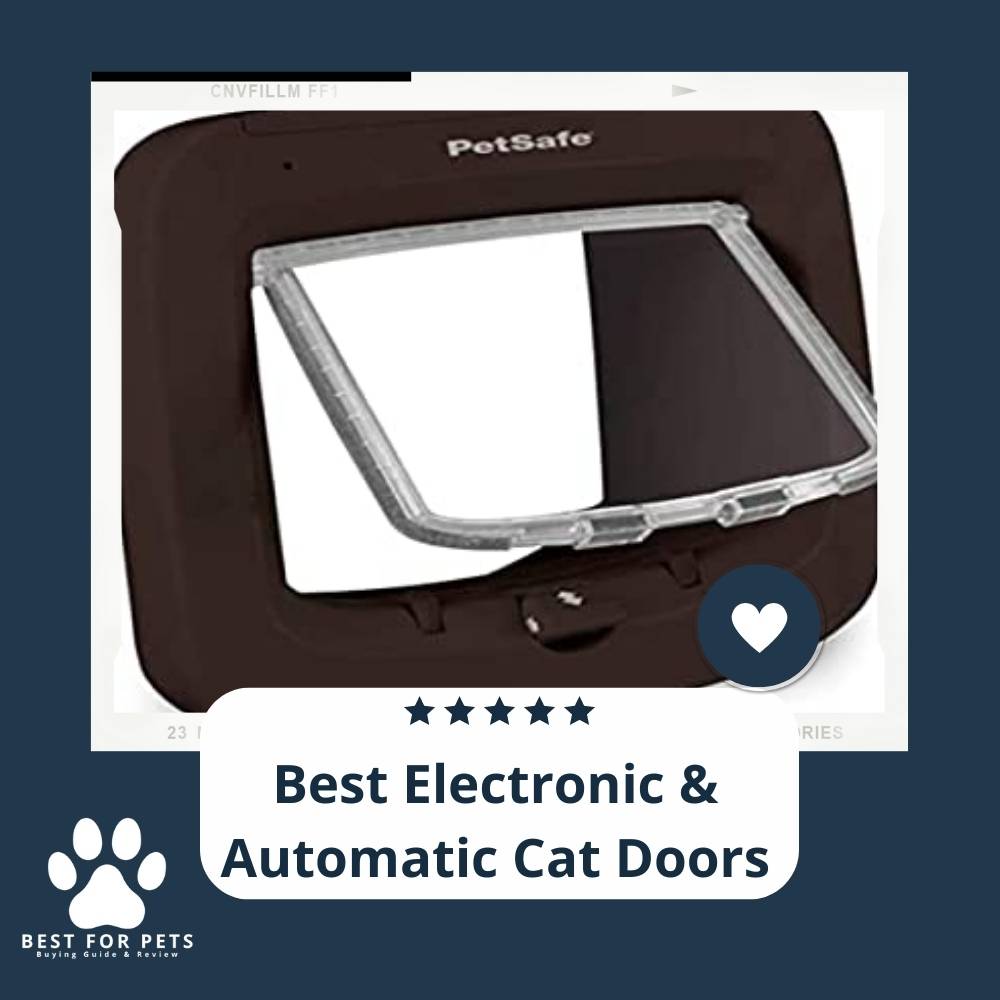 9 Best Electronic & Automatic Cat Doors in 2023