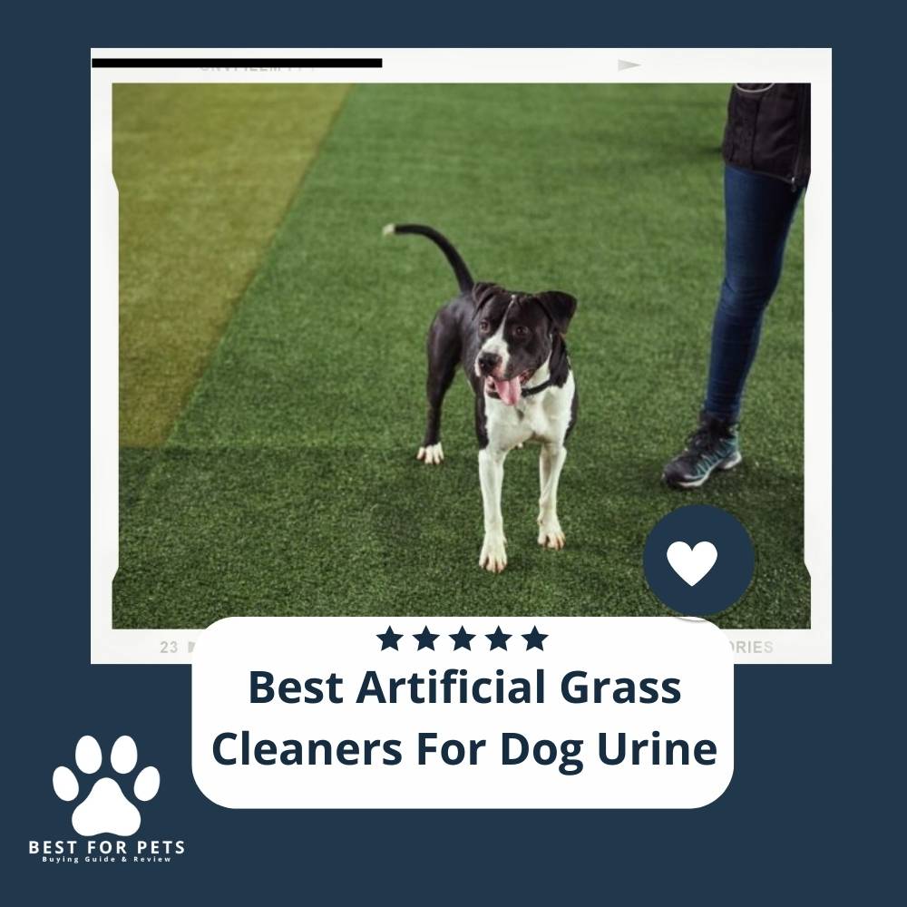The 11 Best Artificial Grass Cleaners For Dog Urine of 2023
