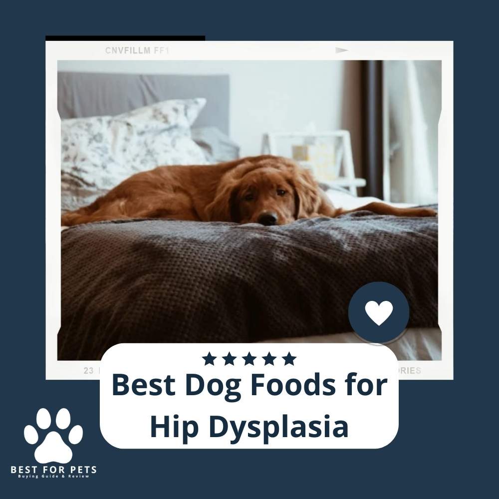 The 9 Best Dog Foods For Hip Dysplasia of 2023