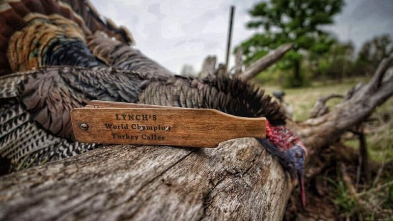 The Best Turkey Call Box: 2023 List The Best Turkey Call Box: 2023 List