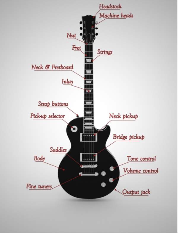 Guitar Anatomy: The Parts Of A Guitar Easily Explained Guitar Anatomy: The Parts Of A Guitar Easily Explained
