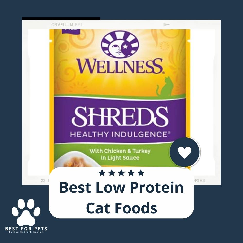 12 Best Low Protein Cat Foods In 2022