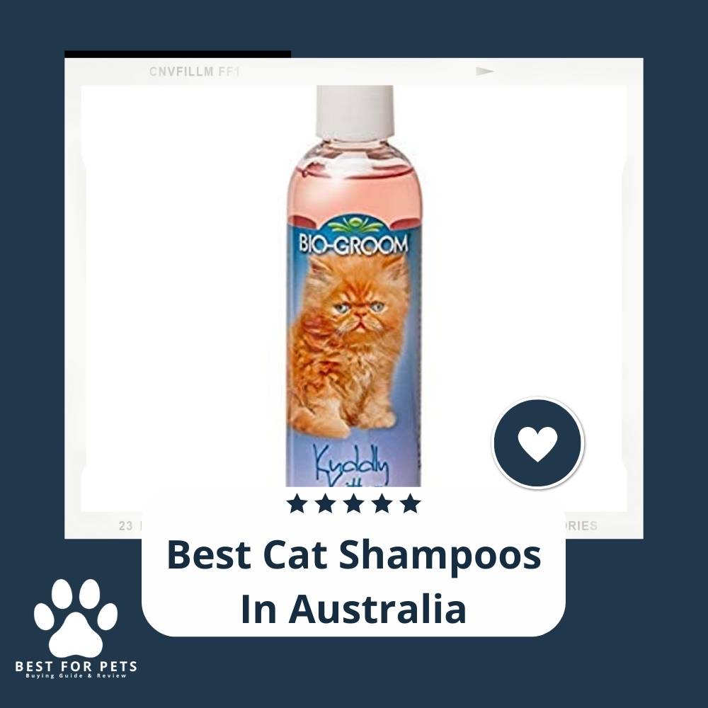 The 12 Best Cat Shampoos In Australia of 2023