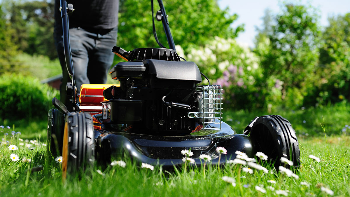 Who Sells Cheap Lawn Mowers Who Sells Cheap Lawn Mowers