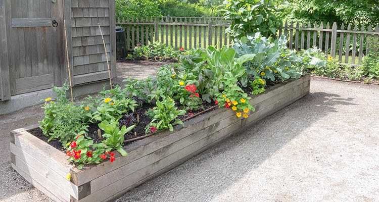 Best Liner For Raised Garden Bed : Review And Buying Guide Best Liner For Raised Garden Bed : Review And Buying Guide