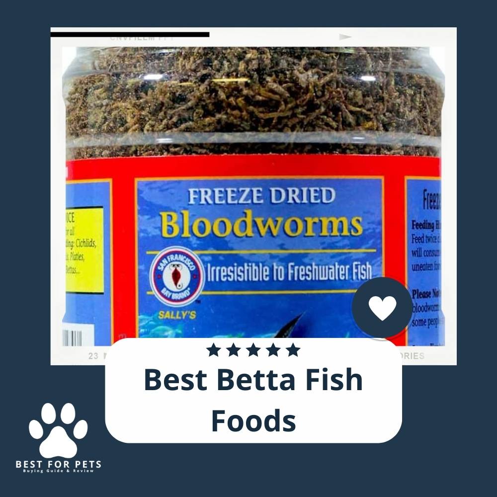 The 11 Best Betta Fish Foods of 2022 The 11 Best Betta Fish Foods of 2022