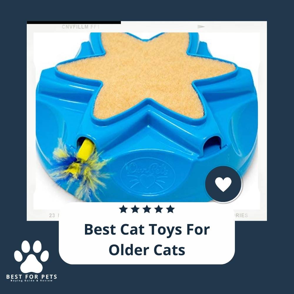 12 Best Cat Toys For Older Cats in 2022