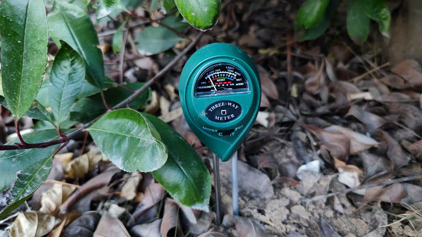 Best Soil Ph Tester of 2022 Best Soil Ph Tester of 2022