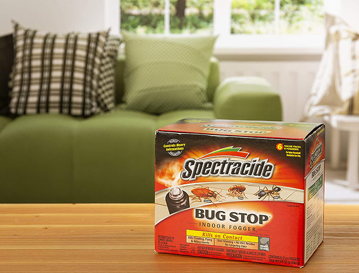 Best Bug Bomb For Spiders For 2022 Best Bug Bomb For Spiders For 2022