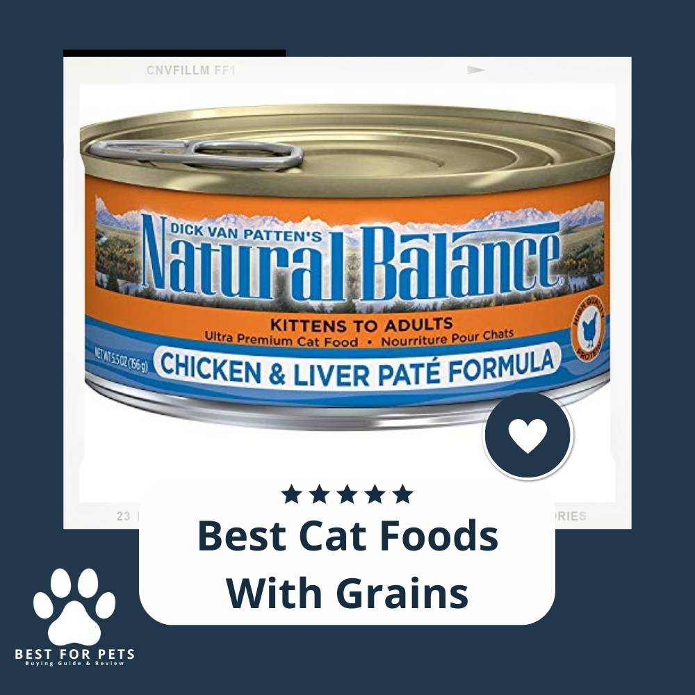 15 Best Cat Foods With Grains in 2022 15 Best Cat Foods With Grains in 2022