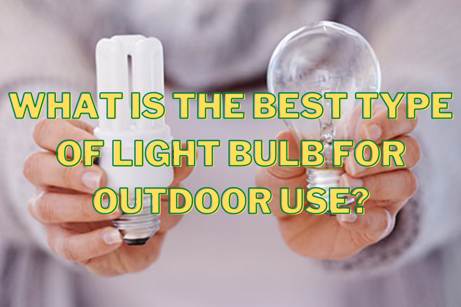 What is the best type of light bulb for outdoor use? What is the best type of light bulb for outdoor use?
