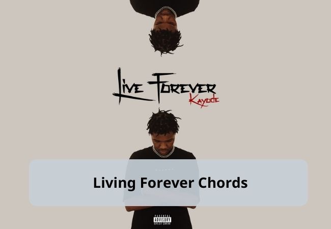 Oasis by Living Forever EASY Guitar Tutorial Oasis by Living Forever EASY Guitar Tutorial