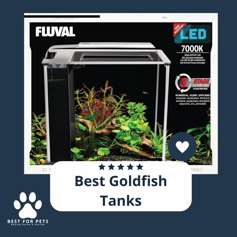The 9 Best Goldfish Tanks of 2022 The 9 Best Goldfish Tanks of 2022