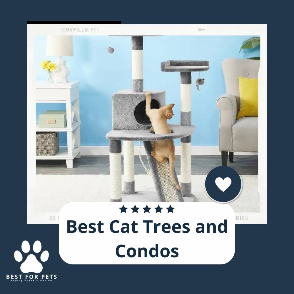 15 Best Cat Trees and Condos in 2022 15 Best Cat Trees and Condos in 2022