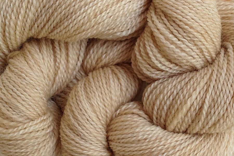 The Best Merino Wool Company: 2023 List The Best Merino Wool Company: 2023 List