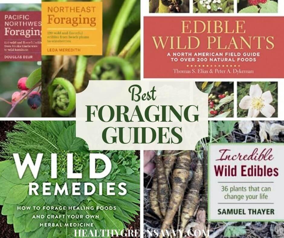 Top 14 Best Foraging Books Updated 12 /2022 Top 14 Best Foraging Books Updated 12 /2022
