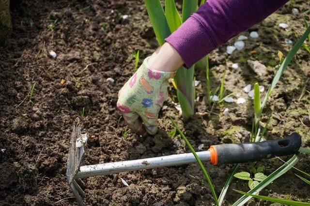 Best Garden Tools For Weeding: - Our Top Picks 2022 Best Garden Tools For Weeding: - Our Top Picks 2022