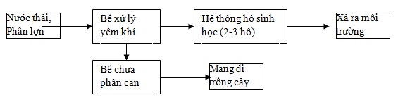 Sơ đồ công nghệ lý kết hợp Yếm khí thu biogas- hồ sinh học tự nhiên