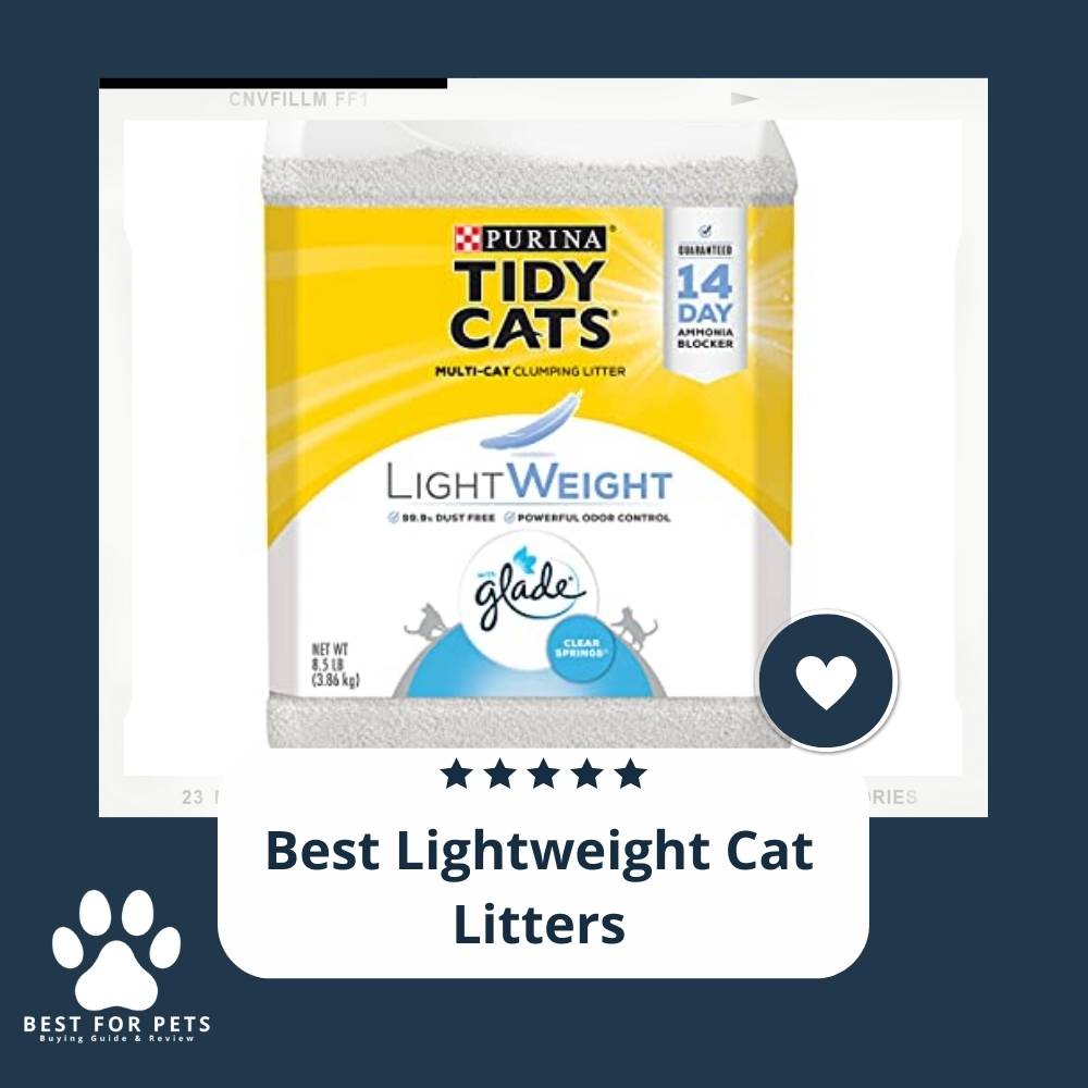 10 Best Lightweight Cat Litters in 2022
