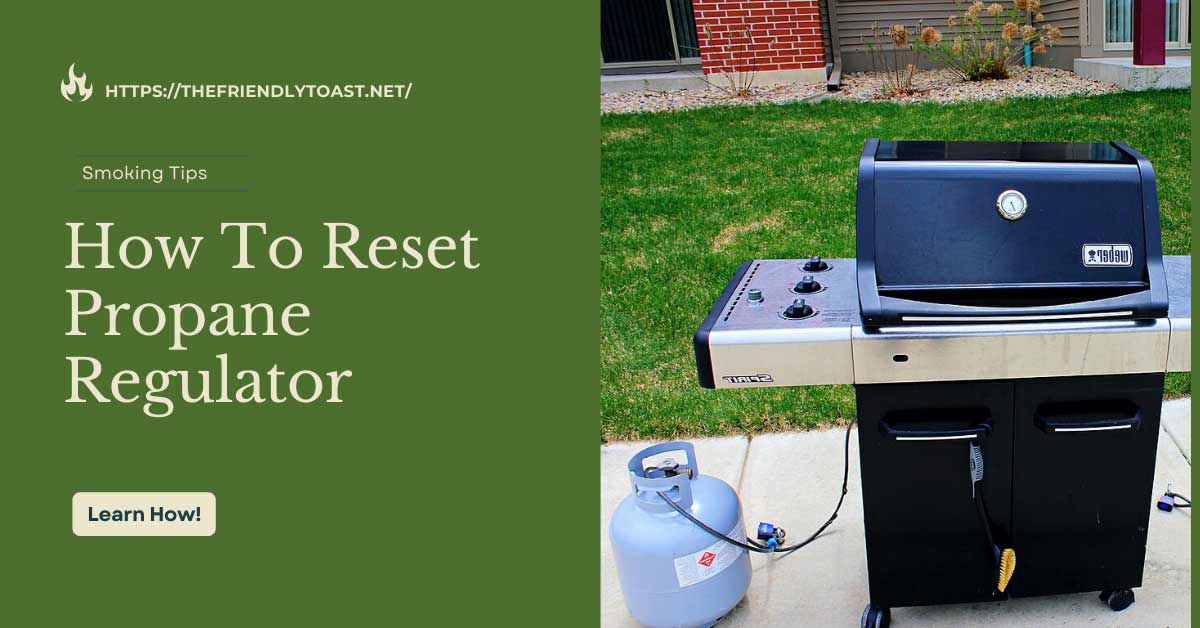 How To Reset Propane Regulator in 6 Steps Involved How To Reset Propane Regulator in 6 Steps Involved