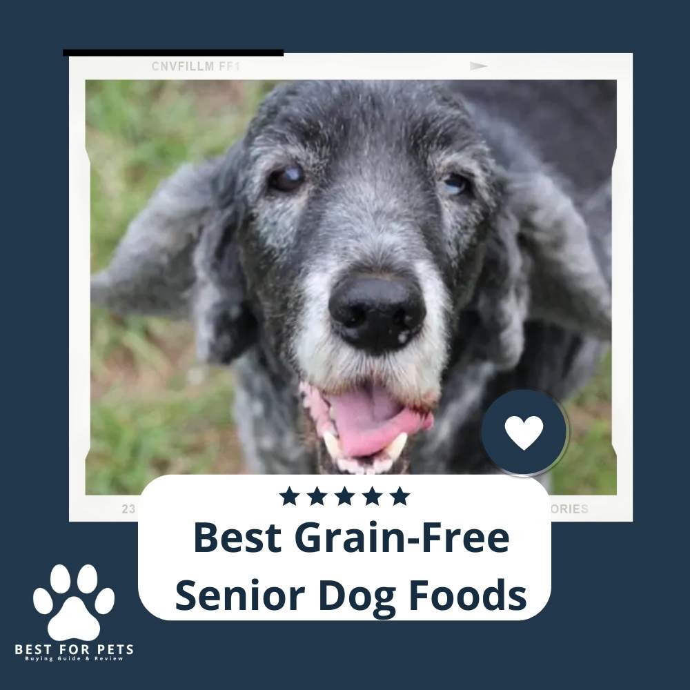 The 10 Best Grainfree Senior Dog Foods of 2022