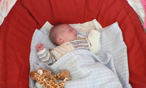 10 Best Co-Sleeper Bassinet In 2022 10 Best Co-Sleeper Bassinet In 2022