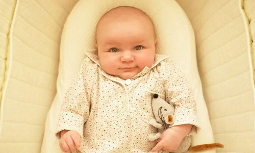 Top Graco Dream Suite Bassinet Review In 2022 Top Graco Dream Suite Bassinet Review In 2022