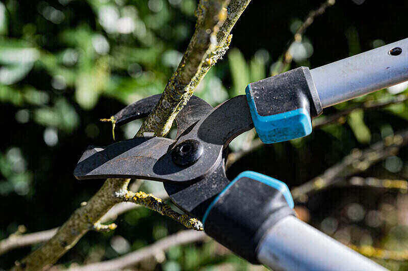 Best Loppers And Pruners of 2022 Best Loppers And Pruners of 2022