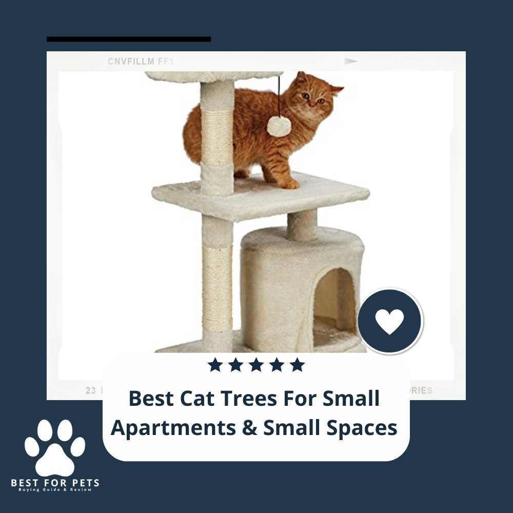 9 Best Cat Trees For Small Apartments & Small Spaces in 2023