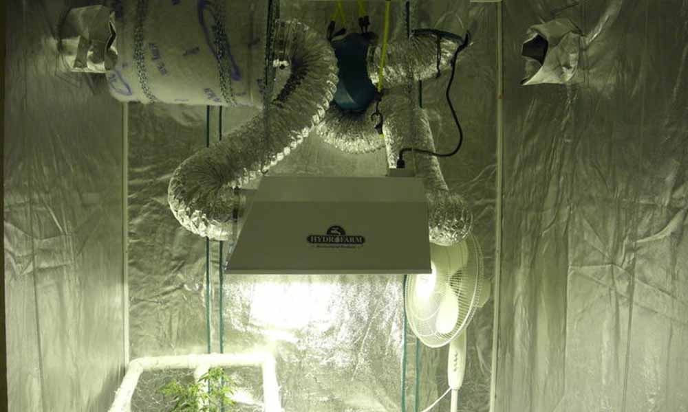Best Carbon Filter For Grow Room of 2022 Best Carbon Filter For Grow Room of 2022