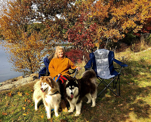 Best Most Comfortable Camping Chair in 2023: Everything You Need to Know... Best Most Comfortable Camping Chair in 2023: Everything You Need to Know...