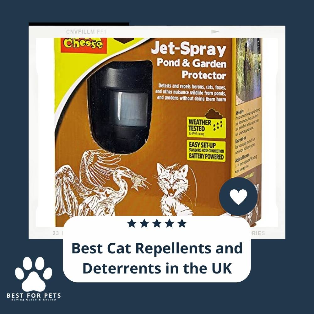 15 Best Cat Repellents and Deterrents in the UK in 2022