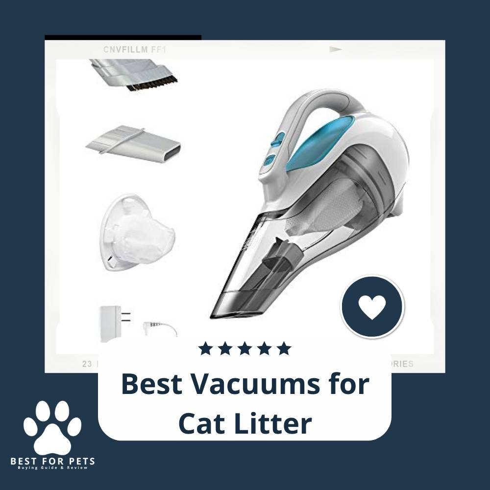 15 Best Vacuums for Cat Litter in 2022 15 Best Vacuums for Cat Litter in 2022