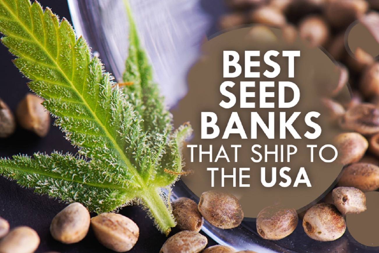 Best Seed Banks That Ship To Usa Most Reputable