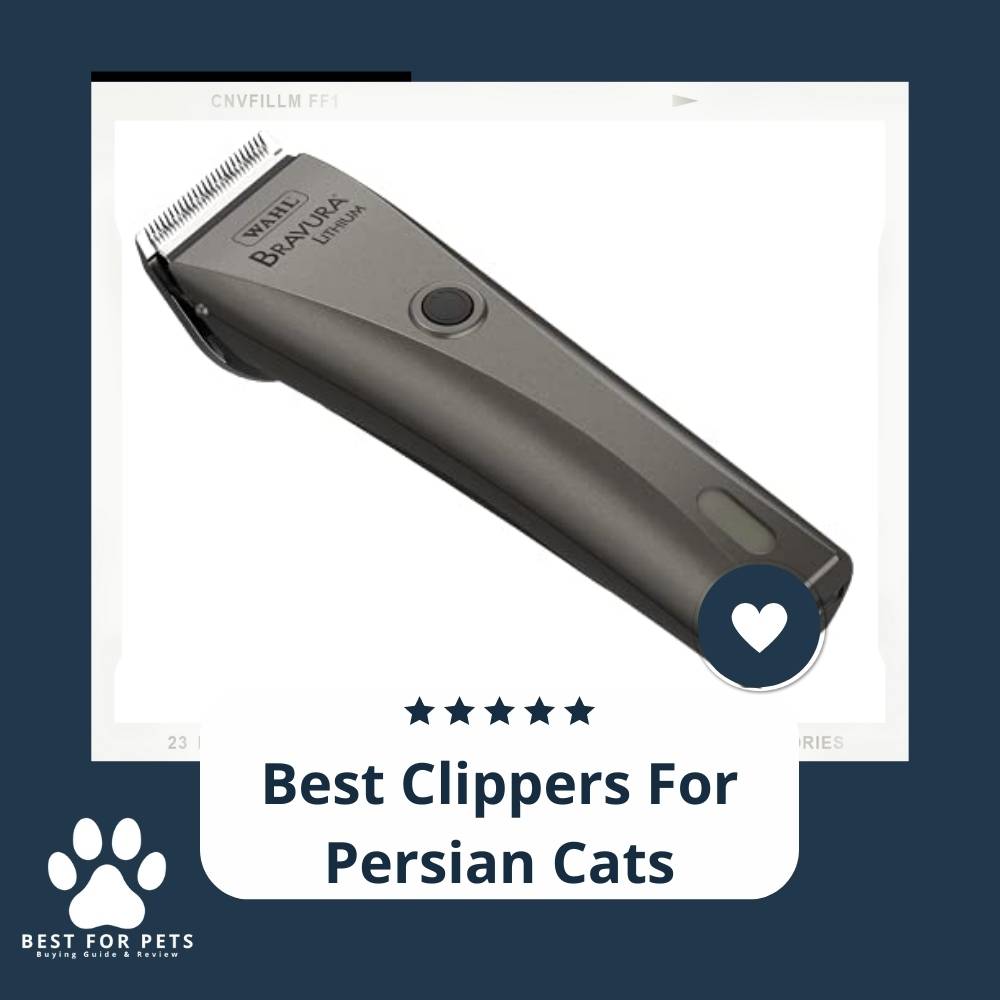 11 Best Clippers For Persian Cats in 2022