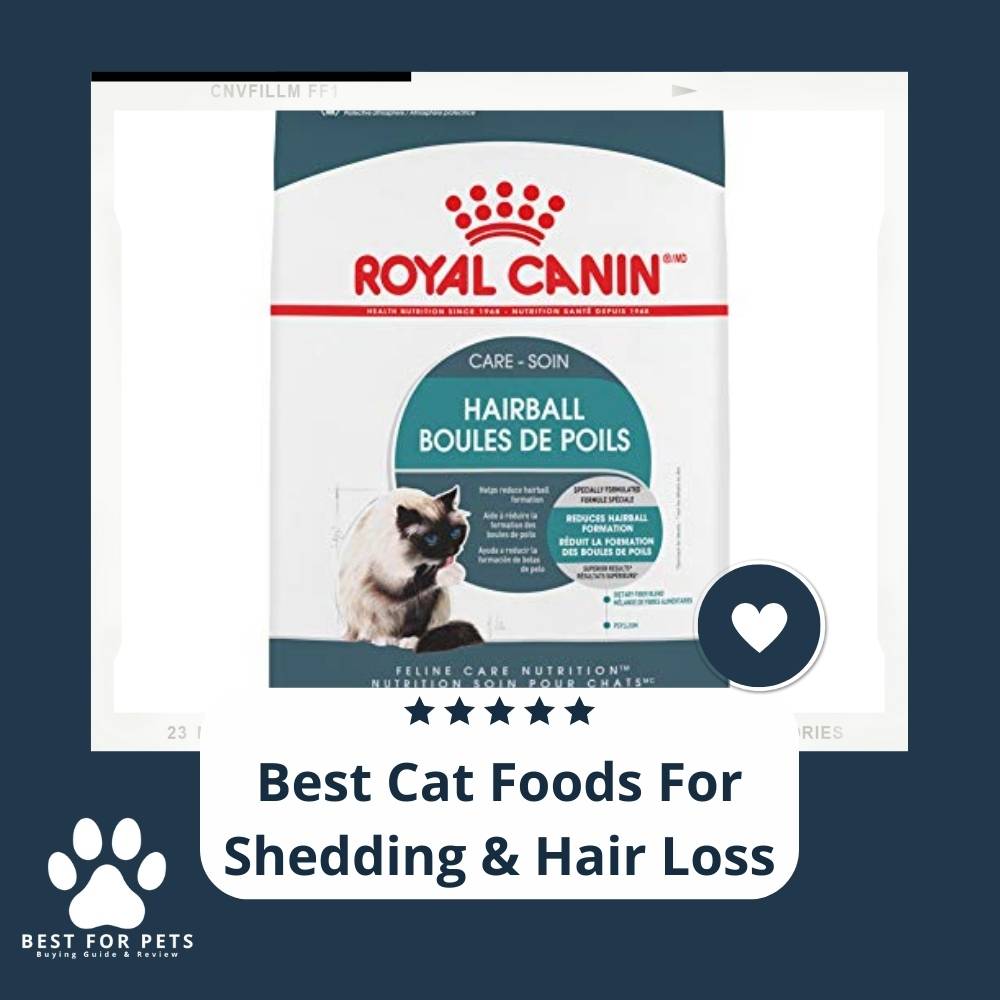 BestForPets All The Things Your Pets Need