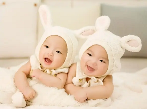 Best Bassinet For Twins in 2023 Best Bassinet For Twins in 2023