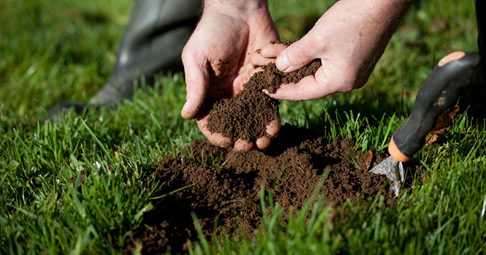Top 18 Best Soil Test Kit For Lawns In 2022 Top 18 Best Soil Test Kit For Lawns In 2022