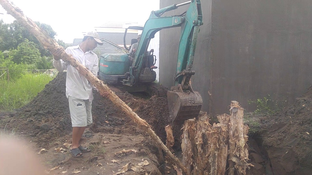 Lợi ích của việc sử dụng cây cừ tràm trong xây dựng.