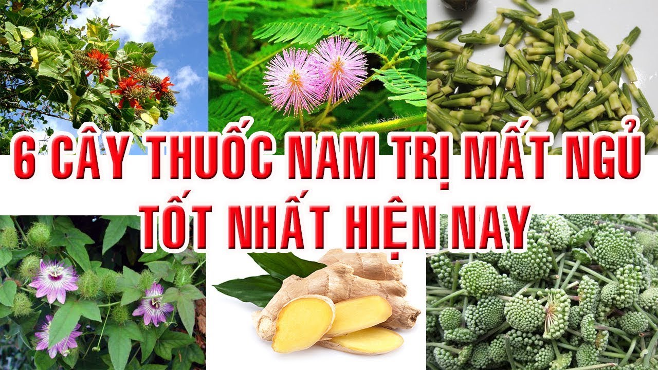 Mách bạn bài thuốc chữa mất ngủ lưu truyền dân gian