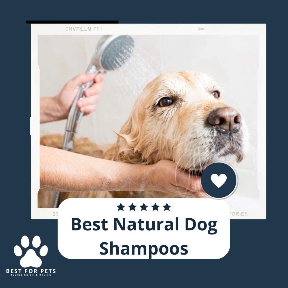 The 14 Best Natural Dog Shampoos of 2023