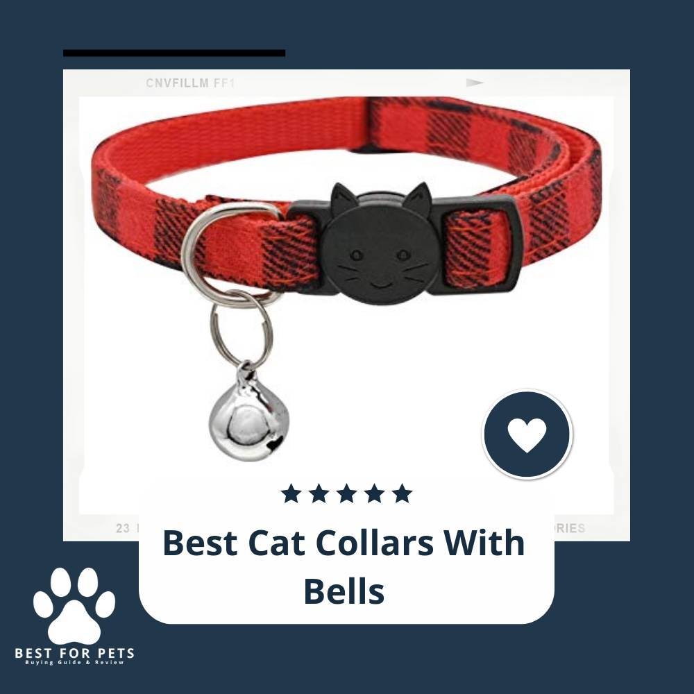 11 Best Cat Collars With Bells in 2022