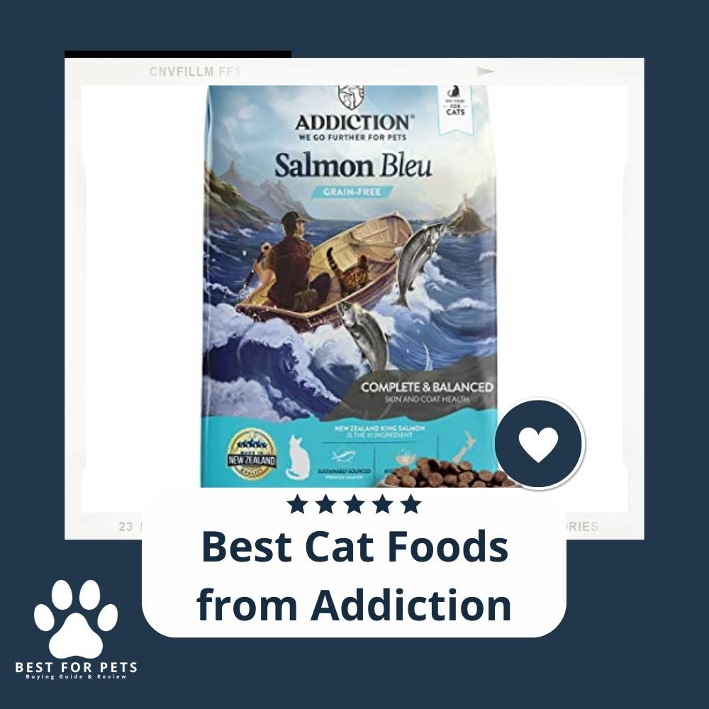 3 Best Cat Foods from Addiction in 2022